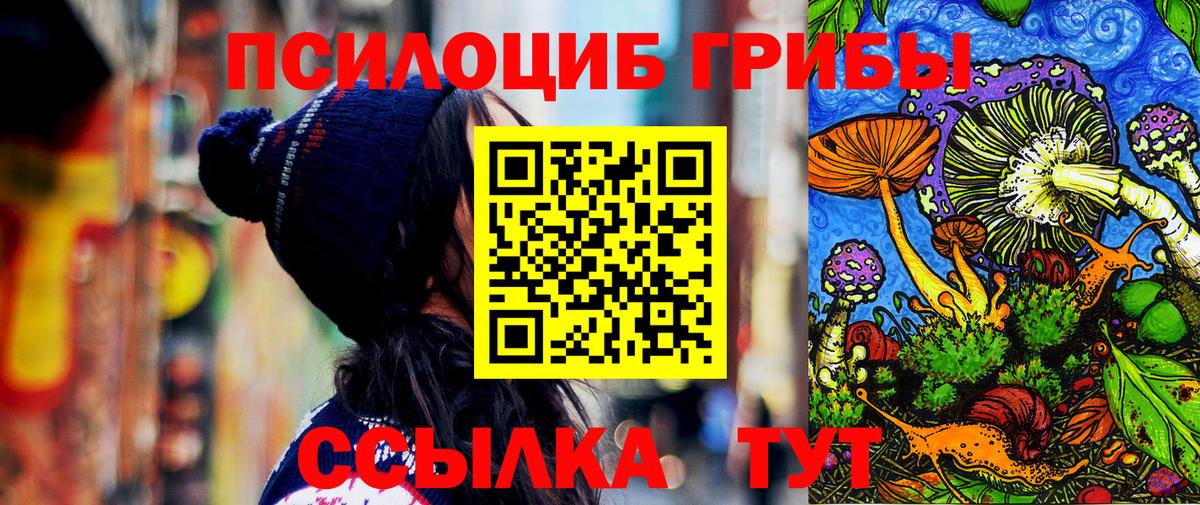 Дзержинский  Галлюциногенные грибы мухоморы  Галлюциногенные грибы Magic Shrooms  Вход с VPN 