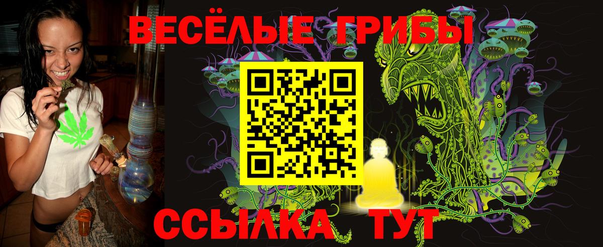 Галлюциногенные грибы прущие грибы Дзержинский